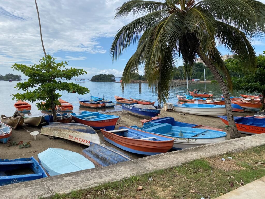Samaná tourism forum to examine cruise opportunities on October 8